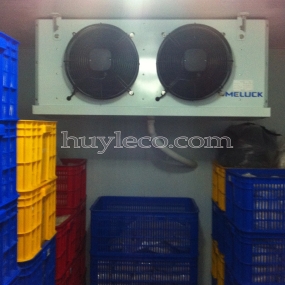 Kho lạnh bảo quản Hoa Tươi và Rau Củ Quả