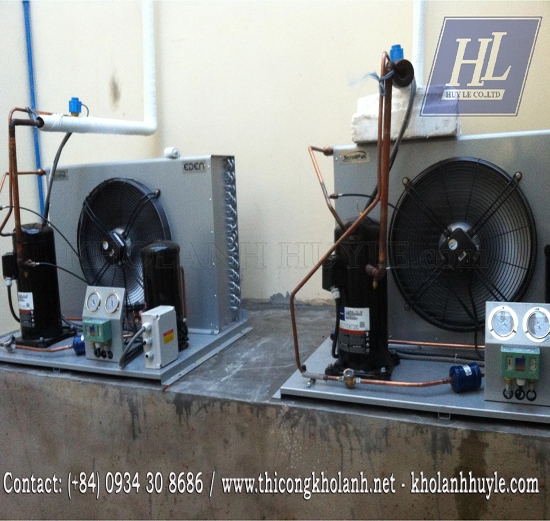 Kho lạnh trữ đông và cấp đông sản phẩm thịt Bò Úc nhiệt độ -15 Oc đến -22 Oc