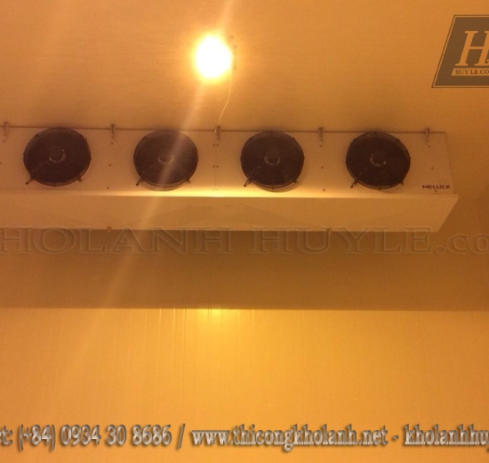 Kho lạnh trữ đông và cấp đông sản phẩm thịt Bò Úc nhiệt độ -15 Oc đến -22 Oc