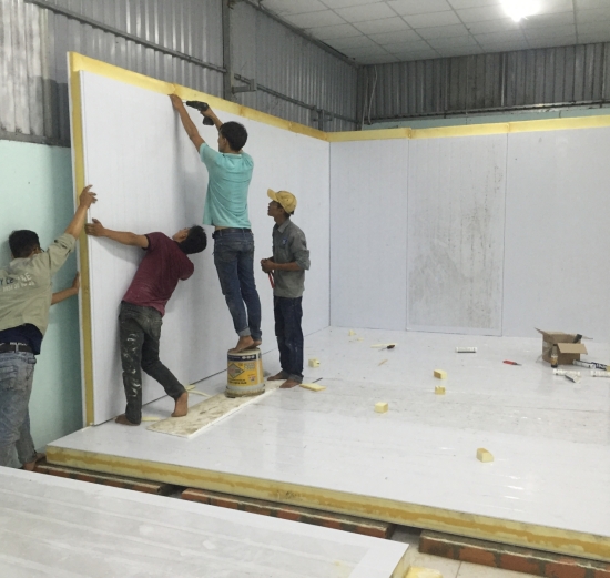 Kho cấp đông và bảo quản thịt Heo tại Bình Dương