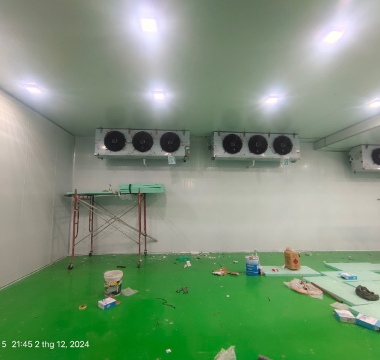 Thi công kho lạnh theo yêu cầu tại thành phố Hồ Chí Minh